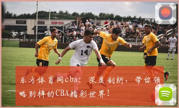 东方体育网cba：深度剖析，带你领略别样的CBA精彩世界！